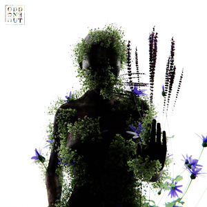 巧露视频倒闭了吗
